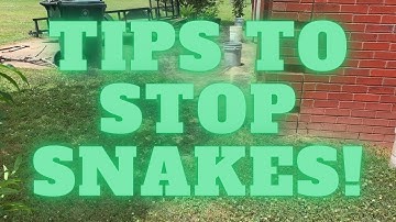 Quick Tip on Keeping Snakes Out and Away From Your Buildings