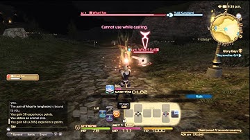 FFXIV: ARR - Begin of a Story [First Level - Arcanist]
