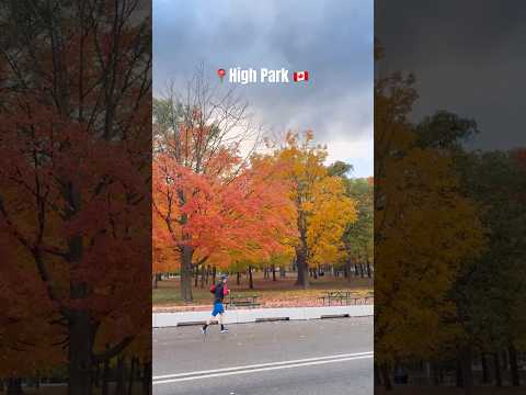 Autumn In High Park Toronto پاییز زیبا در تورنتو کانادا Toronto Autumn Shorts
