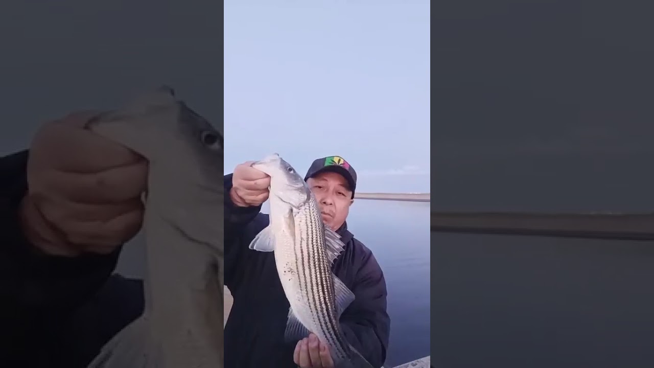 second time at the duct this yr for striper...