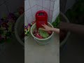 Mini Washing Machine for Hostel 🧺