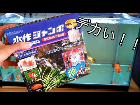 鯉を飼う！？ 〜規格外のデカさの濾過フィルター〜