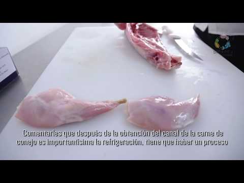 Video: Dónde Llevar Carne De Conejo