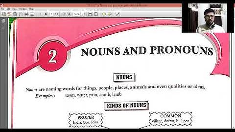 Standard 8 Grammar Chapter 2 Nouns and Pronouns Part 1