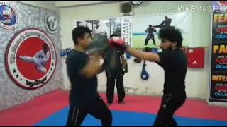 The Masters Academy Of Martial Arts Kick Boxing Class Training
