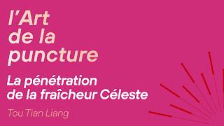 Acupuncture La Pénétration De La Fraîcheur Céleste