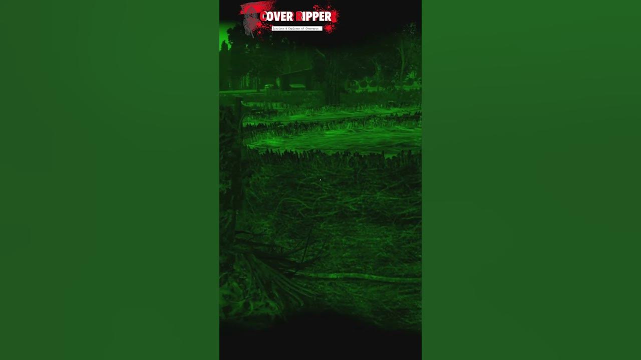 DayZ Killing Mr Glow stick shorts YouTube