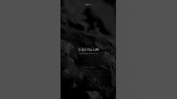 #reels سوره الواقعه