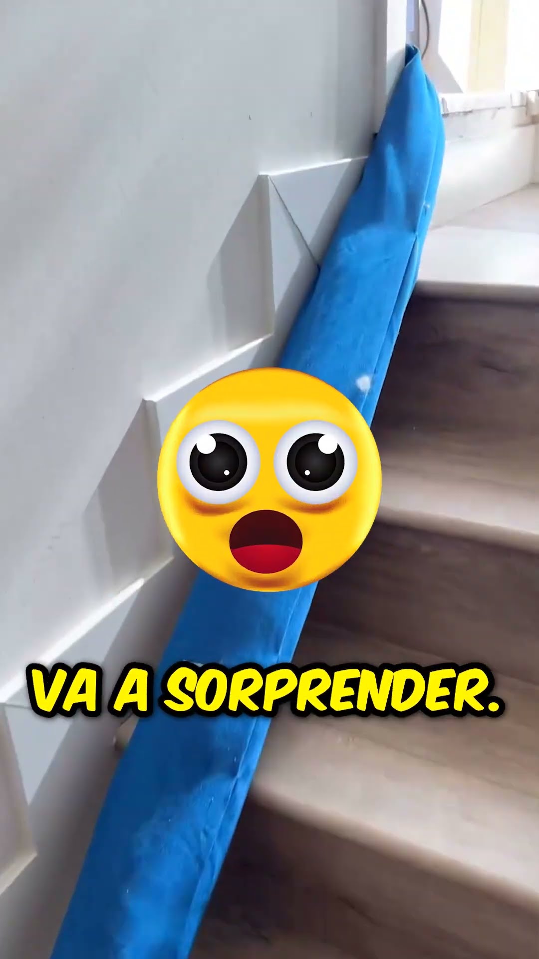 ¡Se asustó cuando vio esto! ?