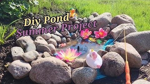 Summer Project #diypond #becreative #summeractivity