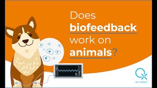 Does Biofeedback Work For Animals, Too?