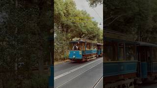 Stockholm Travel Guide #stockholm #travelguide #travel #citytrip #sweden