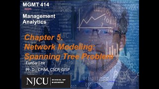 MGMT 414 Management Analytics - Spanning Tree Problem