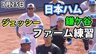 日本ハム鎌ケ谷 ファーム練習　水谷瞬柵越え連発、横山永遠がライブBPで好投2026.7.25