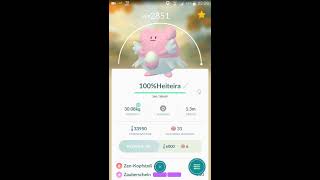 Pokemon Go - 100% Heiteira und Garados