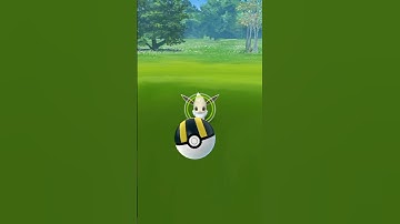 December month community day event shiny eevee pokemon catch in pokemon go