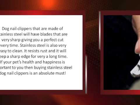 clippers roster 2018 Why Choose Stainless Steel Dog Nail Clippers?