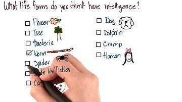 What is intelligent life - Intro to Psychology