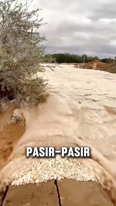 Ini nyata sungai pasir di arab saudi #fishing #faktaunik #fenomenaalam