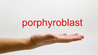 How to Pronounce porphyroblast American English