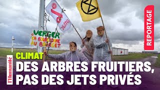 Des militants écologistes plantent des arbres à l'aéroport du Bourget