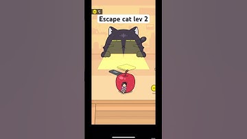 escape cat level 2