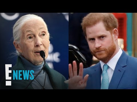 Prince Harry's Friend Says He's Having a "Difficult Time" | E! News