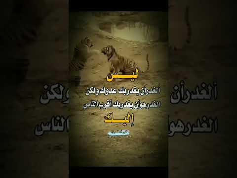 ليس الغدر ان يقدر بك عدوك ولكن الغدر هو ان يقدر بك اقرب الناس إليك اشتراك بلقناه بداعت امك فضل منك