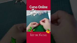 BAIXOU O PREÇO! Curso Kit de Cozinha penas 5,90 #natal #costura http://bit.ly/kitcozinhadenatal