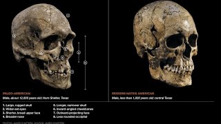 Skull Morphology Of The Earliest Americans Gives Proof To Their Identity