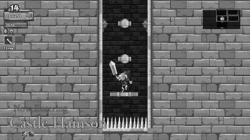 Rogue Legacy Teleport Bug