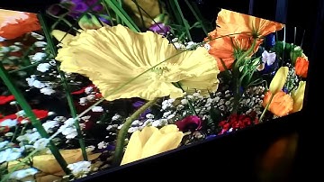 【Coleder Ace Block】1.56mm Narrow Pixel LED Video Wall