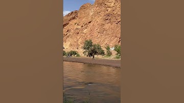 #إسلام_صبحي #المصحف #تلاوة_خاشعة #اكسبلور #nature