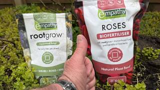 Using Empathy Mycorrhizal fungi bio-fertilizer #mycorrhiza #fungi #planting #success #best  #garden