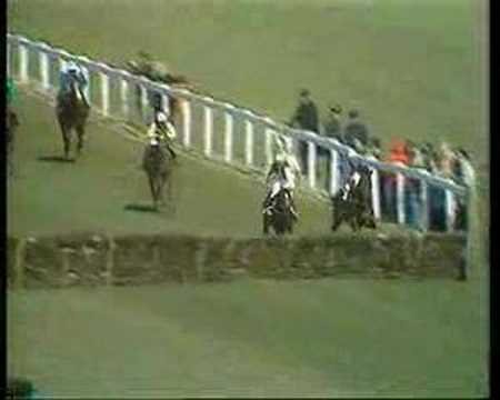 Alan Partridge - Horse racing commentary.