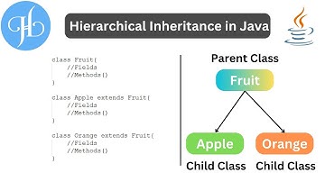 Hierarchical Inheritance in Java and It