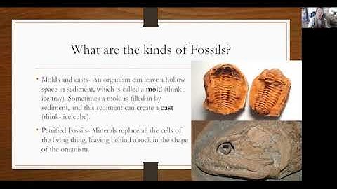 Chapter 6 lesson 1  Fossils