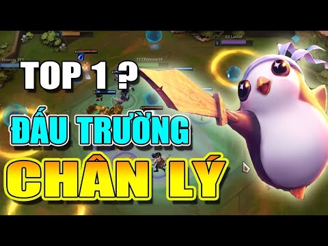 Leo Rank Đấu Trường Chân Lý( ngày đầu ở rank vàng)