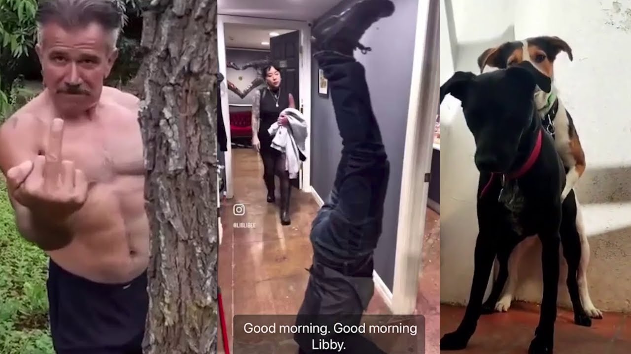 Videos with unexpected ending #22🤯