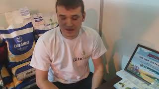 Семена подсолнечника ЕС Альфа под Гранстар. Гибрид устойчив к семи расам заразихи A-G+. 0675605115