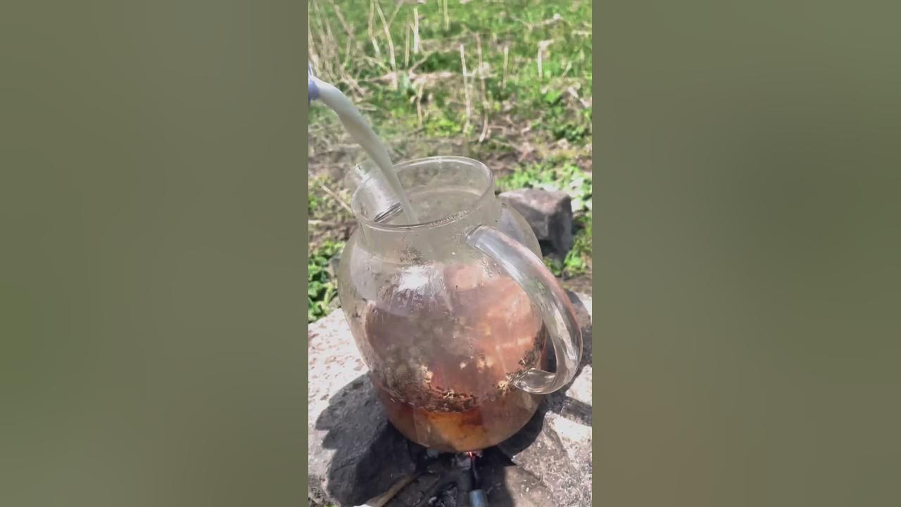 Жайлаудағы Қарақ шәй! Karla tea on pasture. Карак Чай на природе. - YouTube