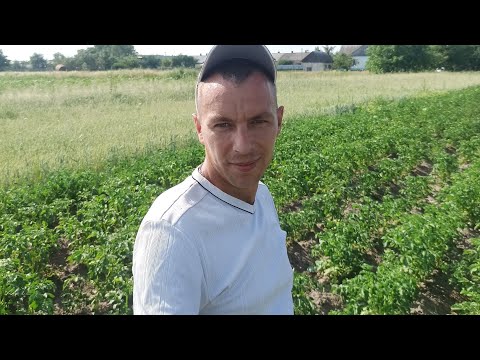 Результат Земледелие в