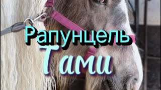 Тами как новая лошадь