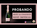 🍾 Champagne MOËT & CHANDON ROSÉ IMPÉRIAL (Degustación)