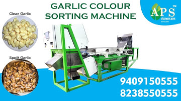 Peel Garlic Sorting Sorter Machine in APS Industries 7046650555🧄🧄