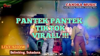 PANTEK PANTEK TIKTOK || CANDRA MUSIC