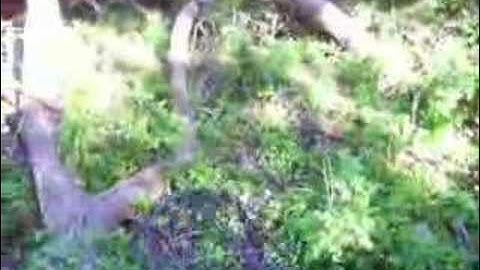 Metroid Arm Cannon Prototype