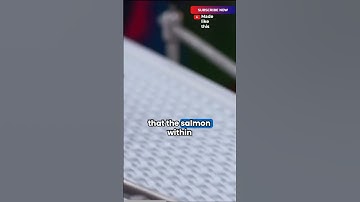 Mastering Salmon Fillet Packaging