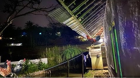 INGAT SUBUH DI KAMPUNG‼️Masa Kecil Hidup di Desa Penuh Kesederhanaan dan Kebahagiaan