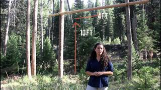 Bear Poles: Prevent access to food by bears by People and Carnivores 199 views 2 years ago 1 minute, 6 seconds